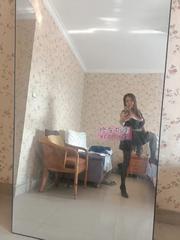 沙坪坝区小猫咪