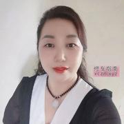 沙坪坝区小海豹