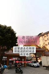 西双版纳村里打卡 150