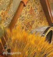 威海推油扫街 400