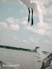 周口探店足疗记录 299