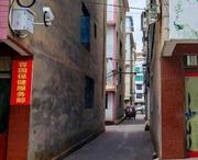 玉溪葫芦园爽记 100