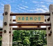 济南森林公园记录